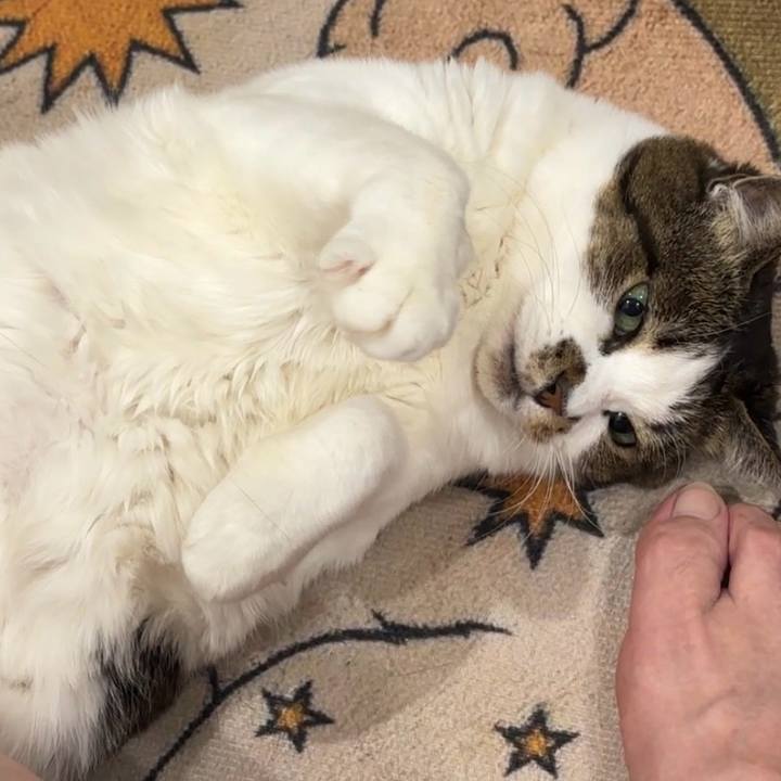 753bbdb9 9d70 40fa a4a6 8ef5769bc697 1772262207111