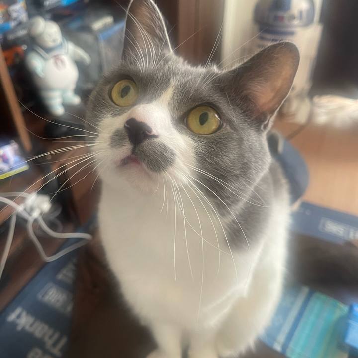 753c5780 1ecb 4e0f 854f 48b53c4c33dd 1703381155694