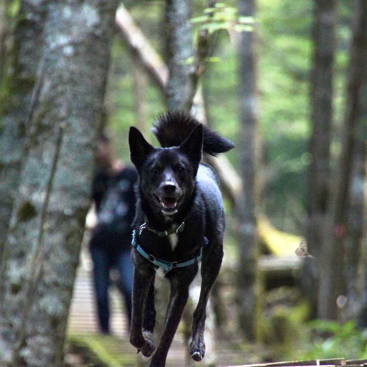 753c7065 77cd 4529 9c0e b7929f72c1b0 1534164993652