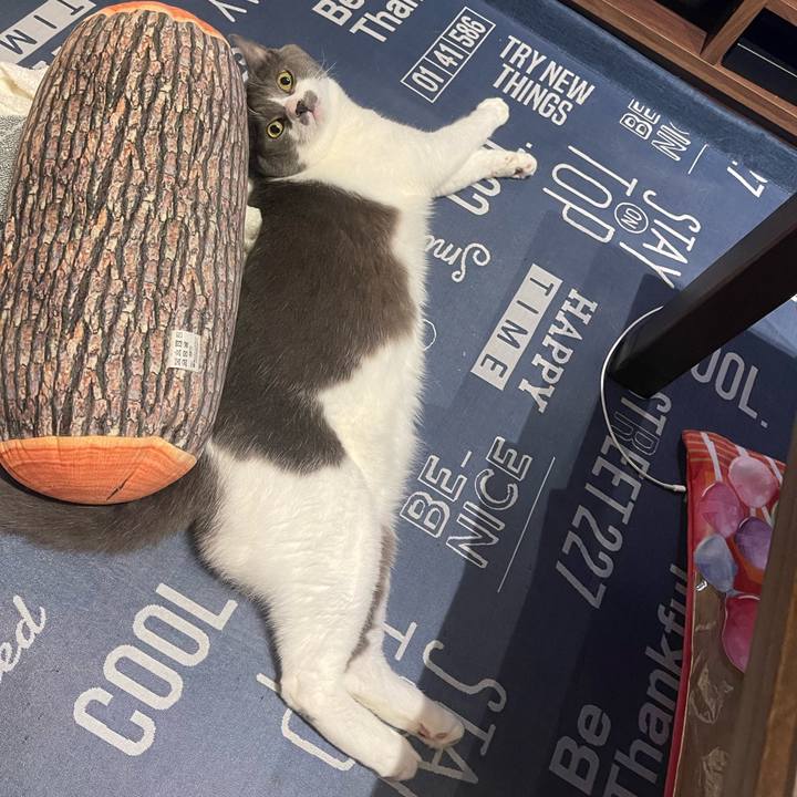 753c8959 b324 4f92 8b32 c26e6a1944db 1693062543613