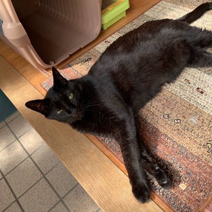 753cbcc9 ddd7 4469 8a5a 3b21b1113f16 1592614740228