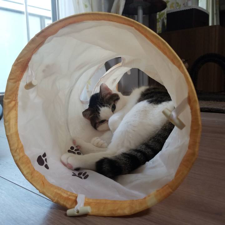 753cc8c4 a6ad 4c17 8017 277c994e16e5 1564604651777