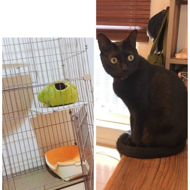 753ceee1 6cf7 404f 8cf8 81c1878b3a00 1563489207403