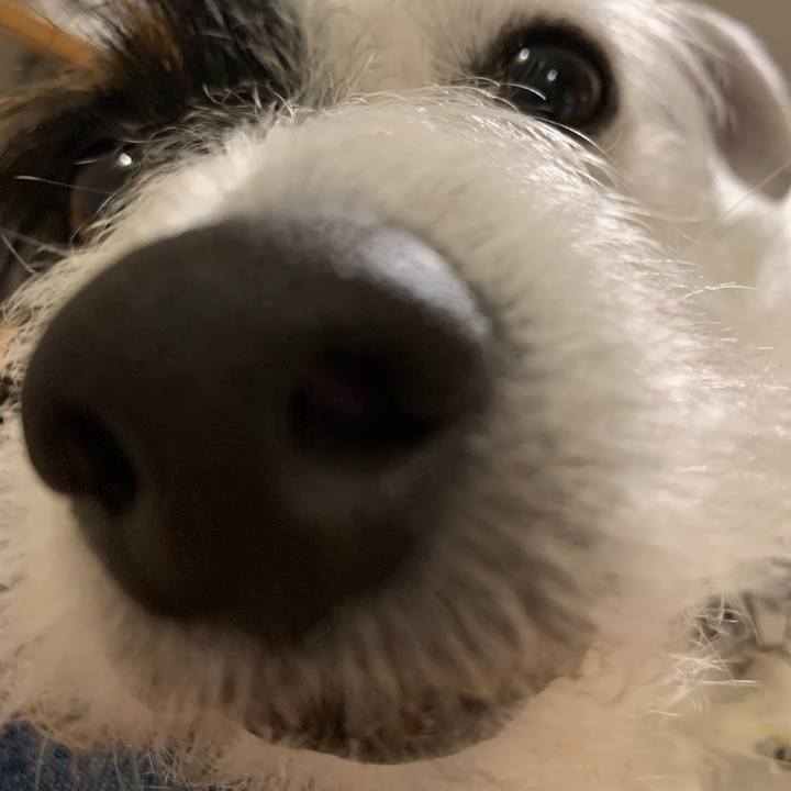 753d0b9c cfd7 4028 81dc 85e370b70ec7 1556367545909