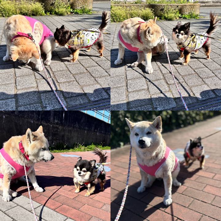 753d217d e19b 450f 9c9c 1ecb4c5ffdbe 1744715410334