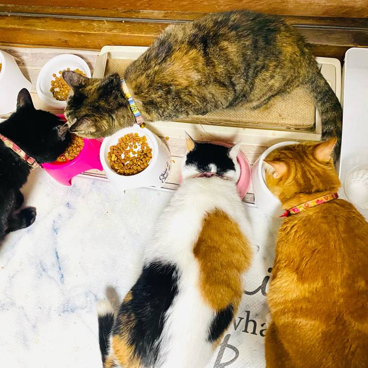 753d73e3 367d 435e ba76 39b9a194ddc4 1727518179649