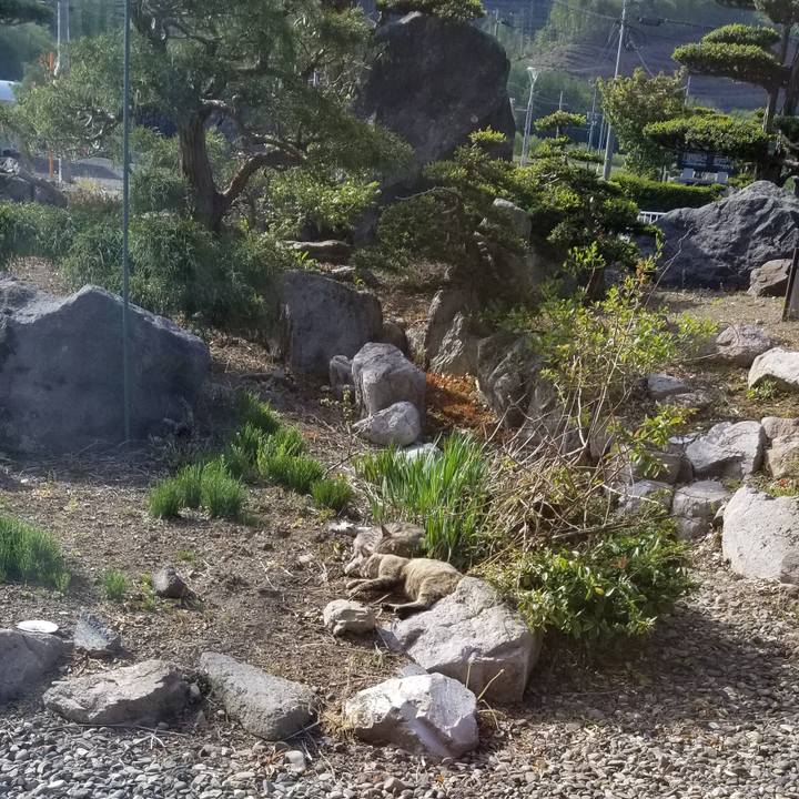 753da514 84d5 4e69 b91d fbc3965eea9f 1685156734628