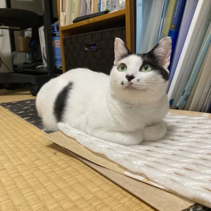 753dac7e c690 4330 93c5 b919e0080f14 1759234279507