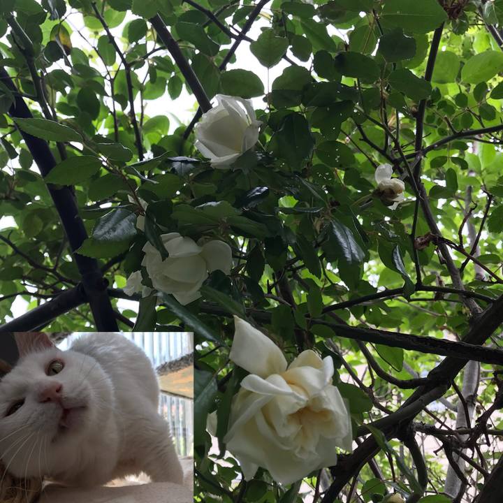 753de359 846b 407f 85ab 07153331bb89 1556889843290