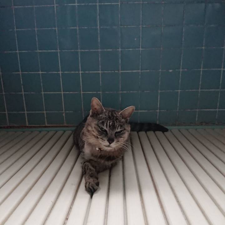 753df609 112f 4ba9 9897 0a4fe7314b02 1591044004404