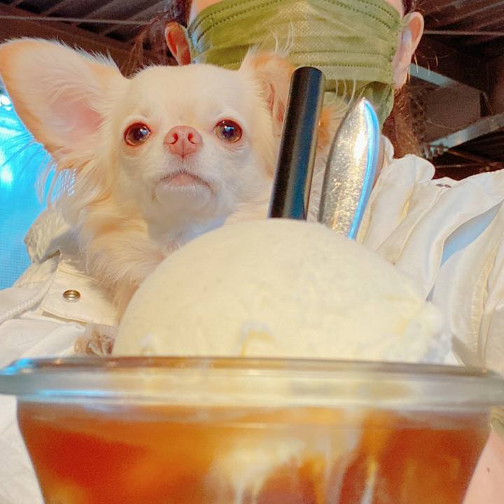 753e3bc4 d1ee 4487 8be4 a9052647af15 1636551098528