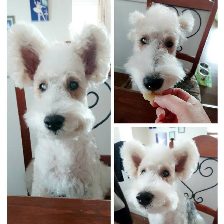 753e5b8e 5362 4974 a354 15a4c7a07cc6 1518326940113