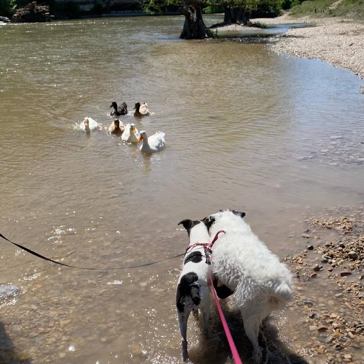 753e7715 e43f 46a0 b529 a89a7626159d 1624485843708