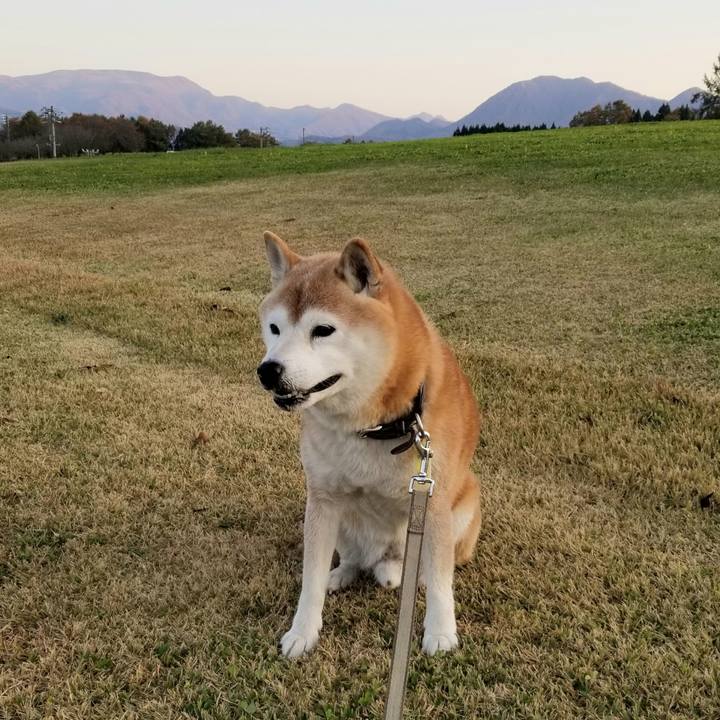 753eb21e 48f1 4c6e a19b d27b180ea4f5 1667978977051