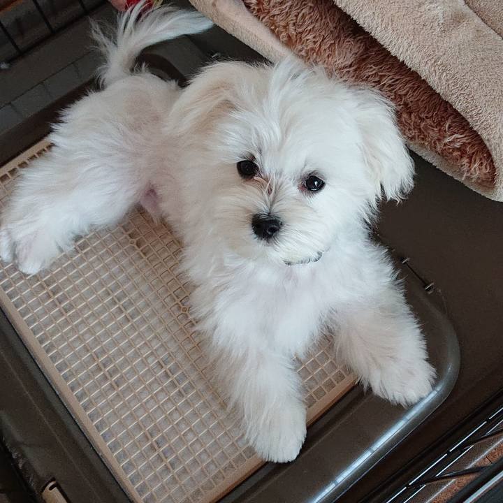 753ec921 4e58 4f7d 89b1 ee7f76e45196 1555988758901