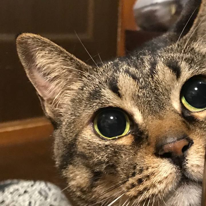 753f0c4e 676d 48bd ad83 62c3b2657a82 1537411330454