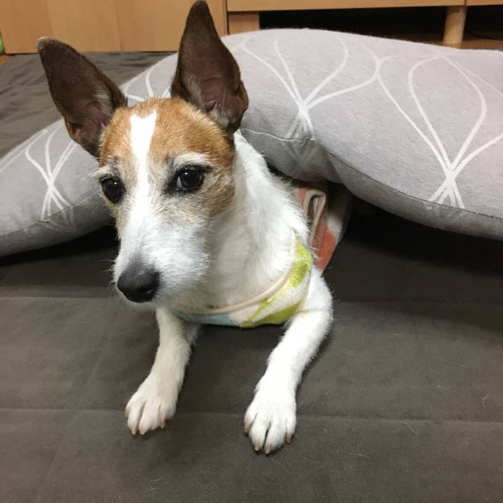 753f4bb9 3484 48f0 b17d fec82c8ce6c9 1613519437392