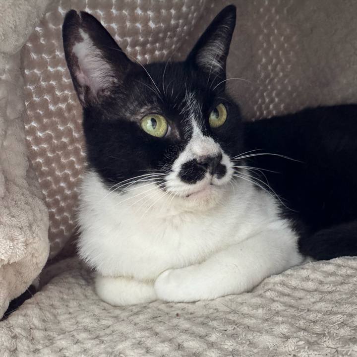 753f870e e168 4bc7 8195 305f64bcb5e4 1747700419409