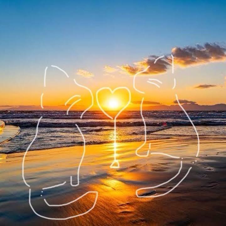 753f9f6d 6c2a 411d bac5 37d9b86e43c1 1705314170366