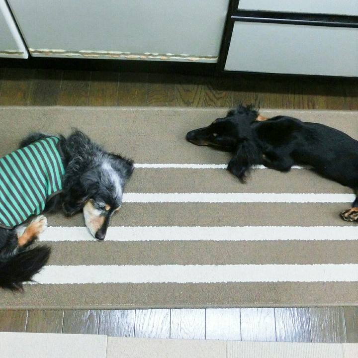 753fc84c 5281 40e0 9b2f b5be2974d35c 1549493726569