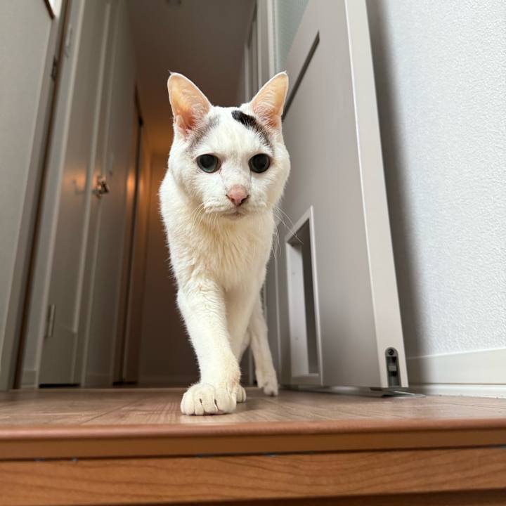 753fd682 de0e 4826 9210 2b1983502302 1770514875327