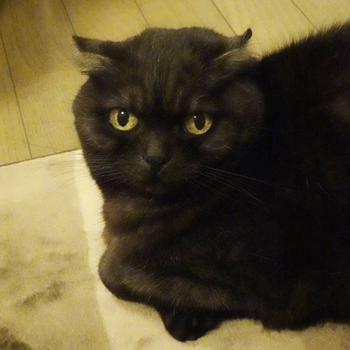 753ff916 68fe 4f0e 8fdb 0cc0f34f33a9 1584720421914