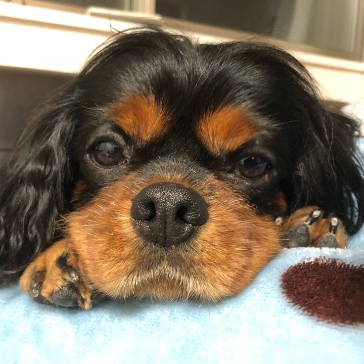 75404f2d b77b 4037 bce7 85656e083ef7 1549890795657