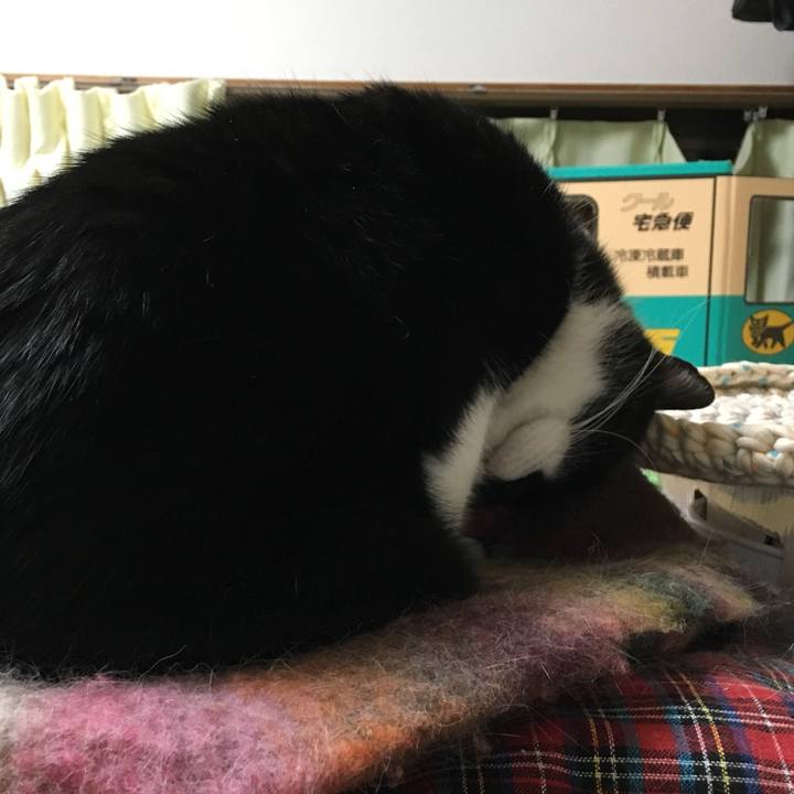 75406bcf 9f90 4e6d 9db6 db88eda74556 1560346908888