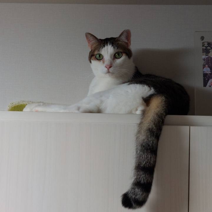 75407728 e483 4c68 8c78 8c00c564e27f 1662589409965