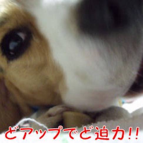 75409a1a 22da 4802 bb5f 91437c424570 1713658439481