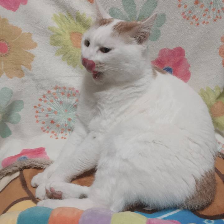 7540a64e 5aac 441a bf3d 1004f1617394 1578913630486