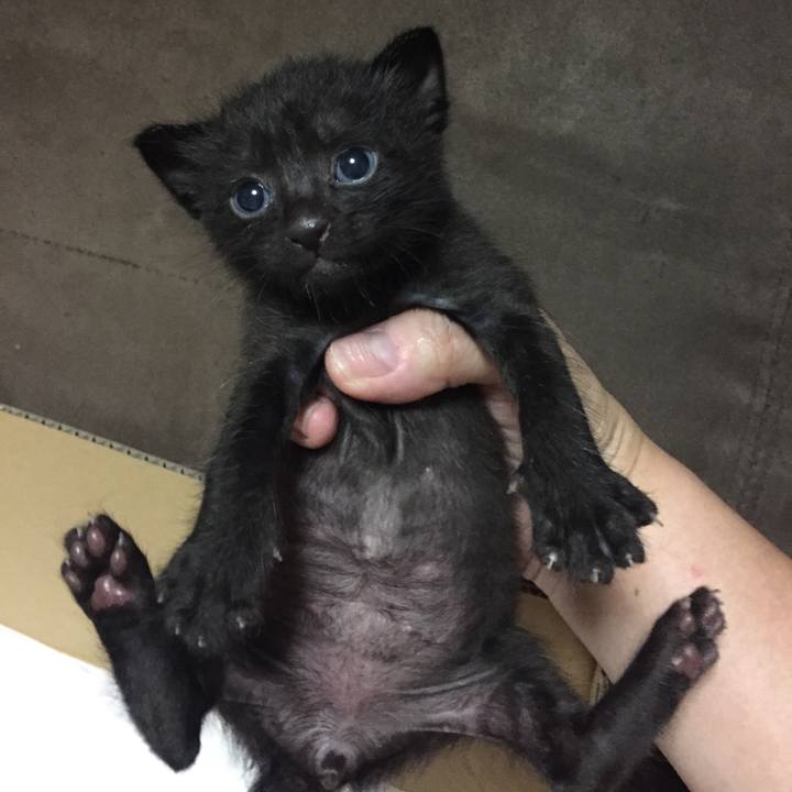 7540e931 91fe 41d3 8772 3c62c3538d3d 1532256767976