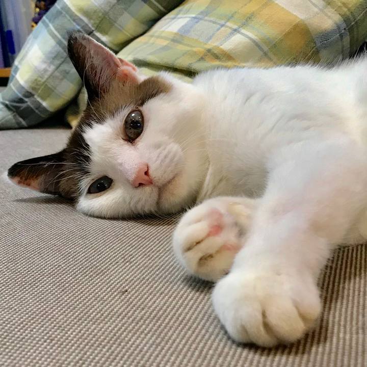 7540f95d 5434 426b a185 be0075c374ec 1561088929097