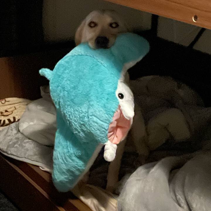 7541092a 70ac 4857 8087 3a77b4cb7d27 1642377713704