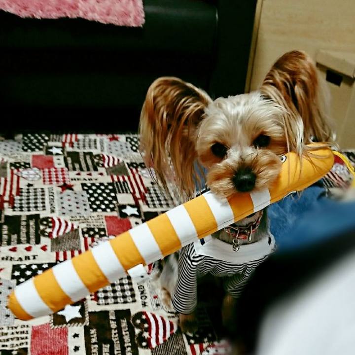 754132f1 0281 4e58 8557 a2f97c63e25c 1507979668615