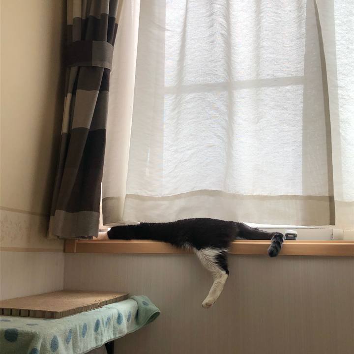 75413987 11c8 411a a38f 585960b34e58 1590300078659