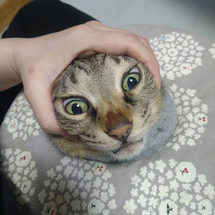 75416110 894b 4872 b35f 4c2630d14d73 1746008549849