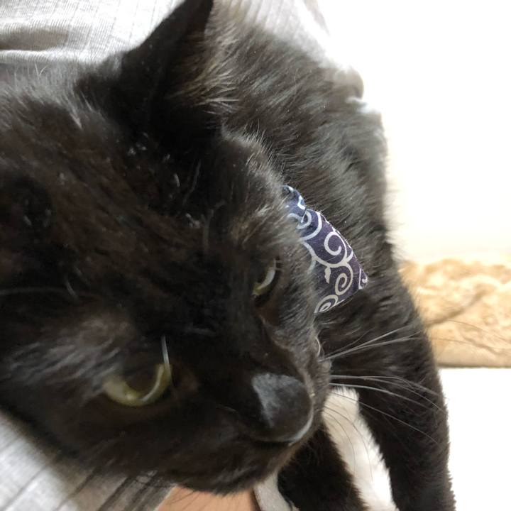 754170fc 30ef 4666 8b80 442b9ea37dac 1585398548657