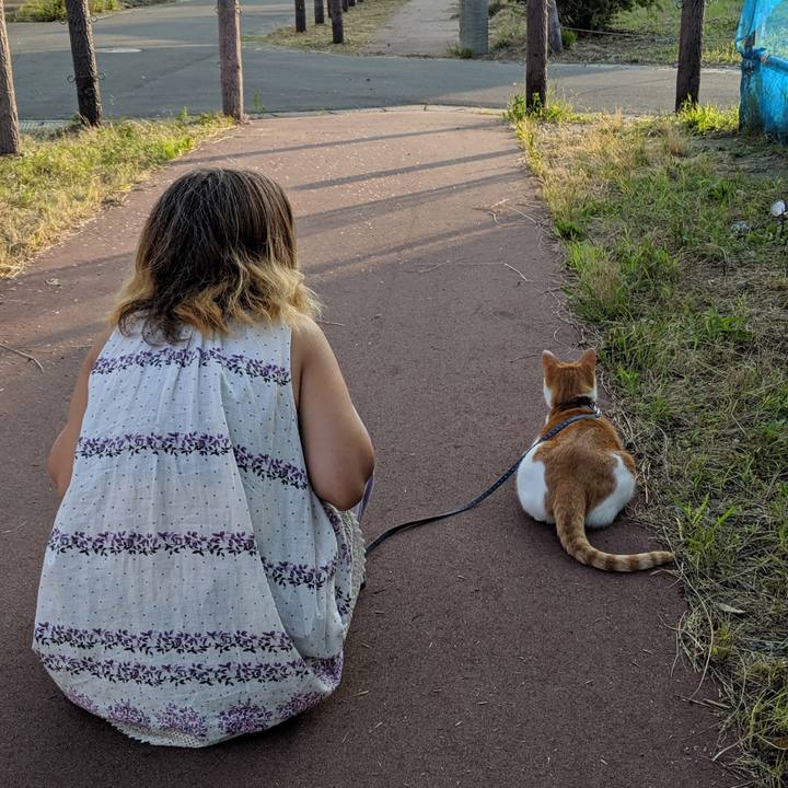 7541d791 323c 4e88 8a06 9b61593e4062 1564930830077