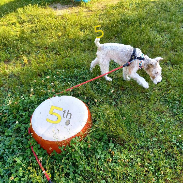 7541ecd8 0fb0 40c3 a822 6844d0beab55 1622868014260