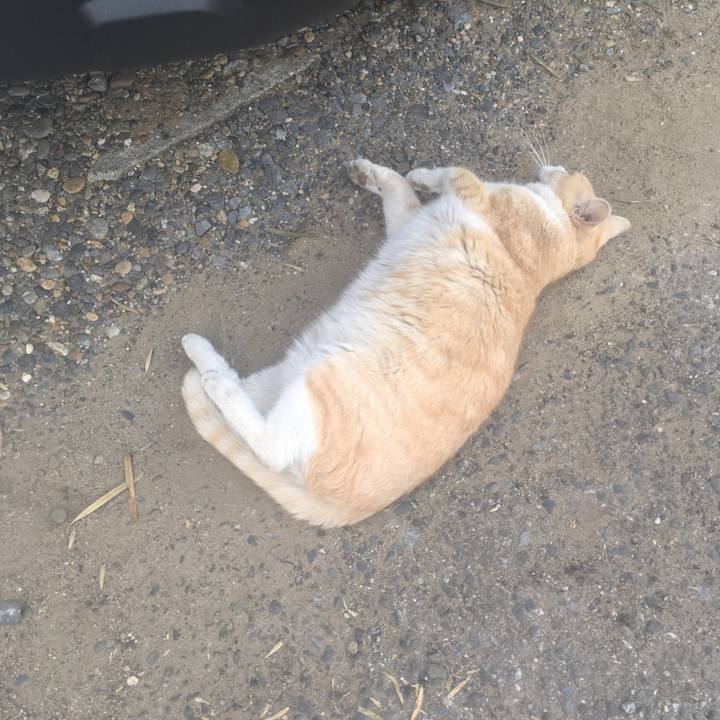 7541fbeb 5998 40ba bb00 9cd761216370 1552947976424