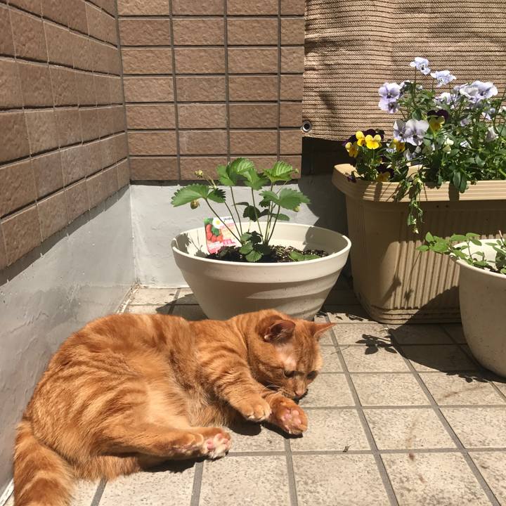 75422c96 1209 4869 8aac bab544faa6bc 1526000444004