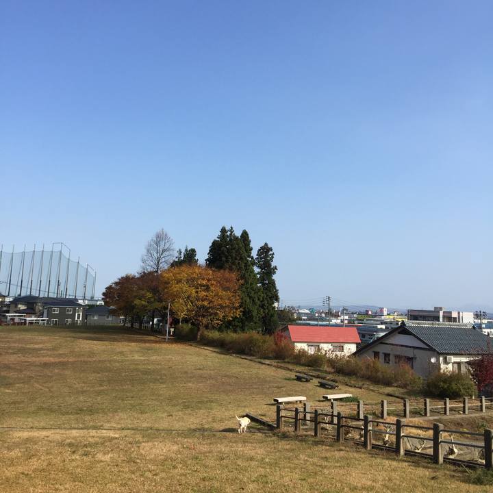 75424201 6795 4340 8b0d f9380043e5c9 1510711018273