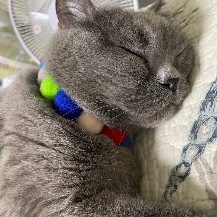 754255f9 24be 41d1 9fd4 76546548af8d 1773477734751