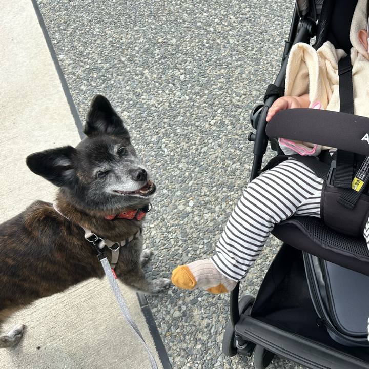 754267f6 91d8 4564 a3f3 6d090f25358d 1715420663894