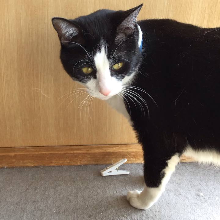 7542928f 965e 4464 a4f4 be3f5e49f0f8 1682766382693