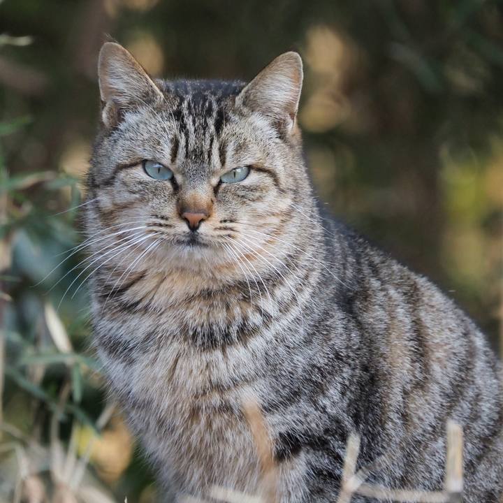 75429e17 969e 44fa adbd b2e92b93a2aa 1612015108138