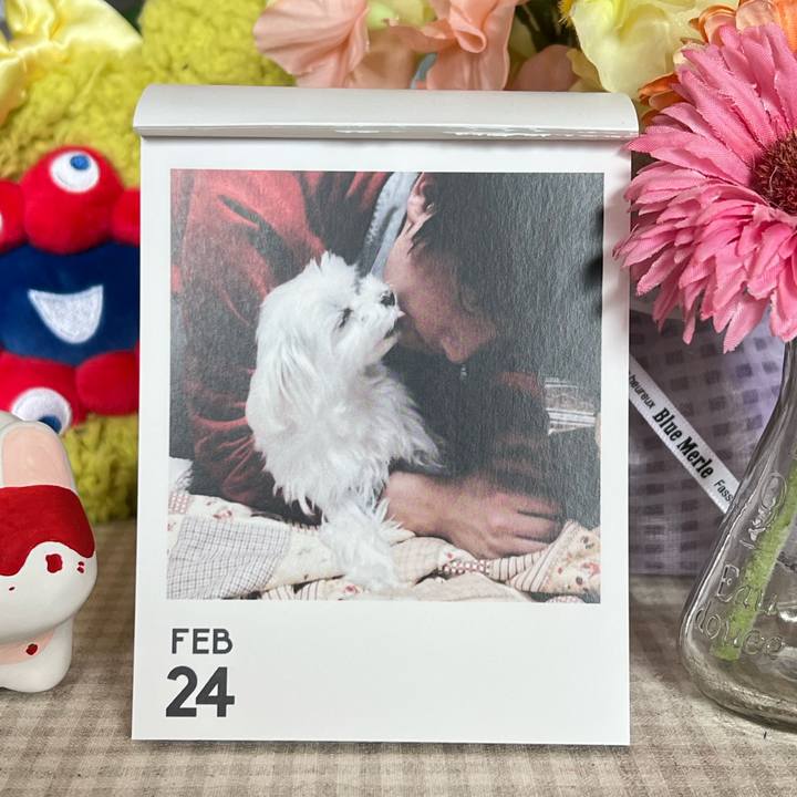 7542a9f0 7570 4d2b b63a 4751c811a688 1771926377981