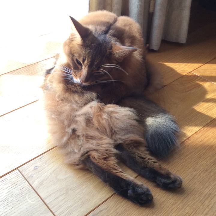 7542b2b9 9fce 4eed 8825 24d3f96ac436 1600997089387