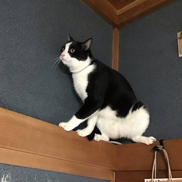 7542e235 15ce 487c b95f 99762ec28225 1728631594355